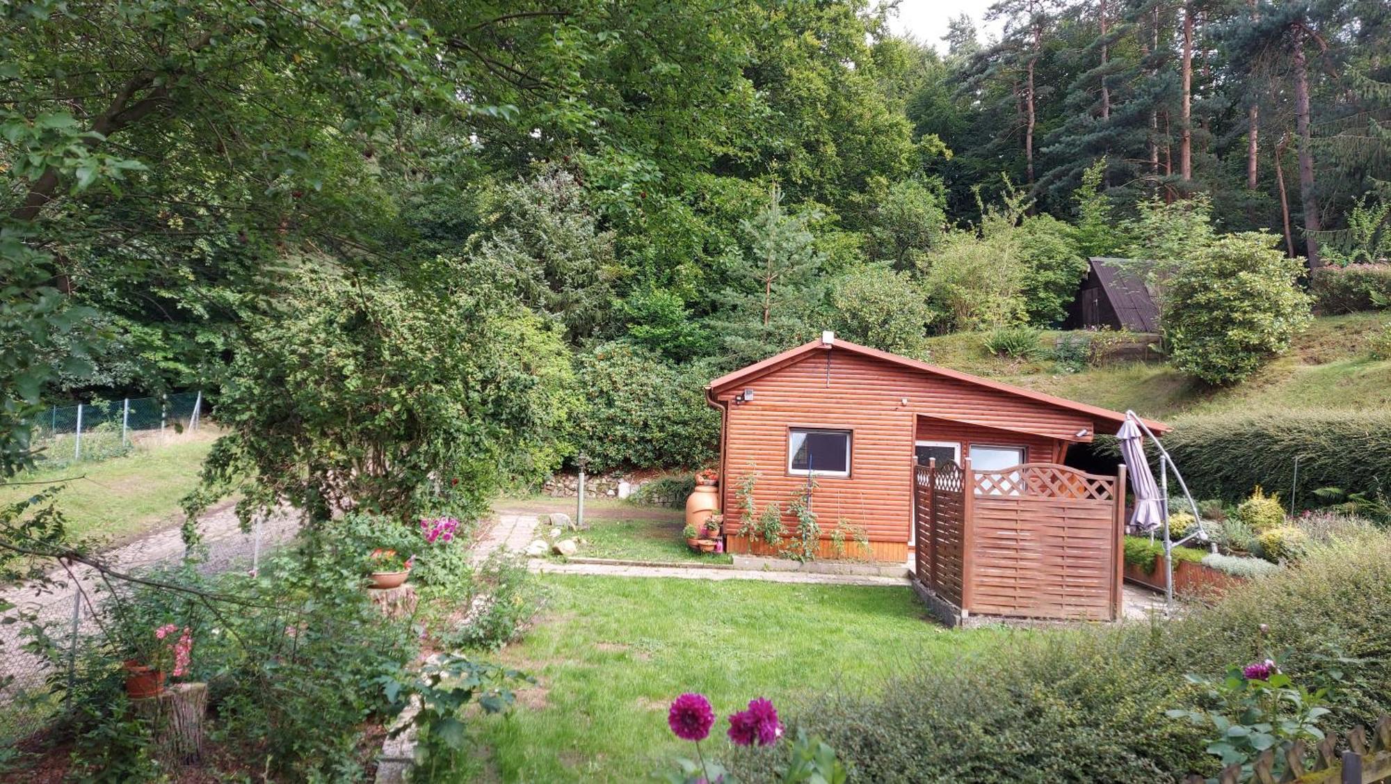 Ferienhaus In Geesthacht-Tesperhude Direkt Am Waldrand ภายนอก รูปภาพ