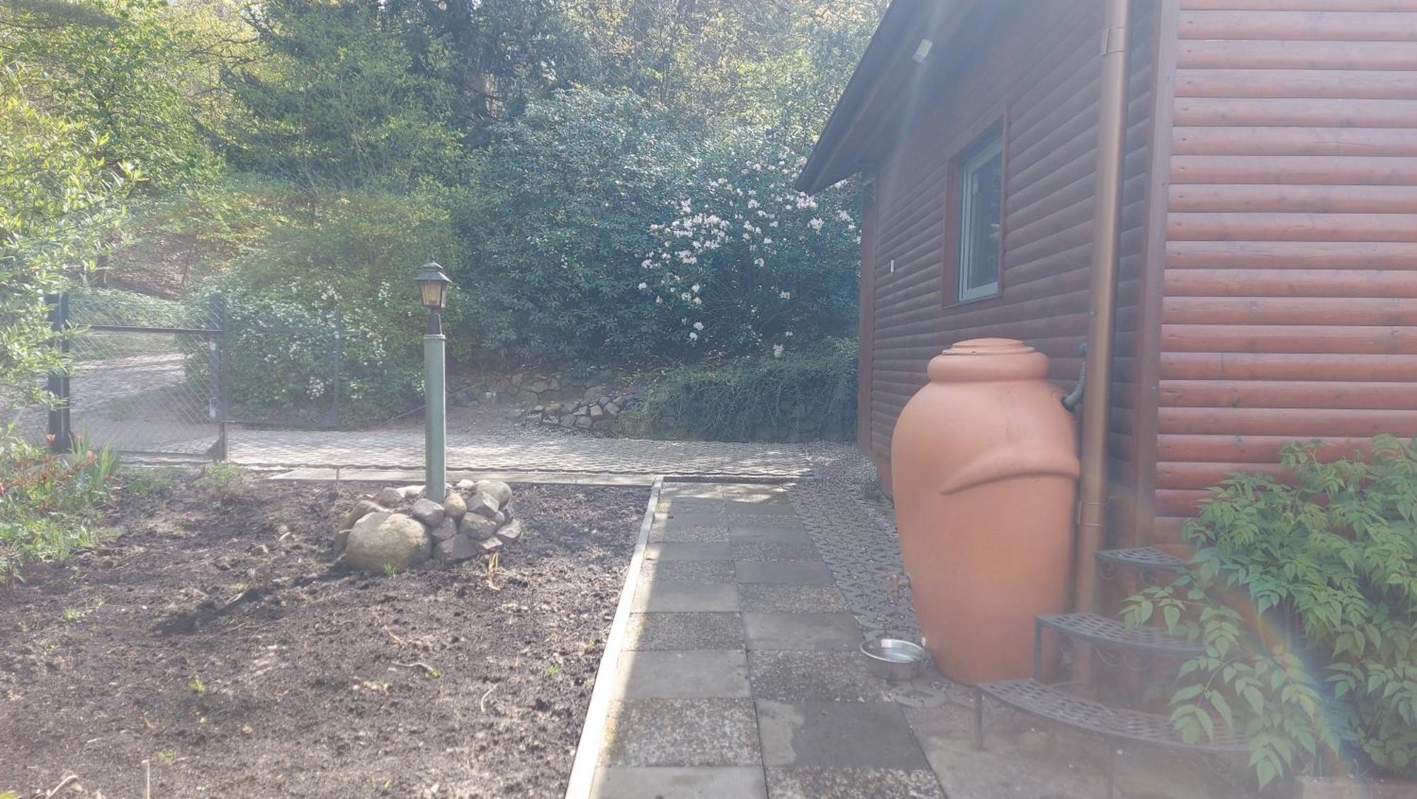 Ferienhaus In Geesthacht-Tesperhude Direkt Am Waldrand ภายนอก รูปภาพ