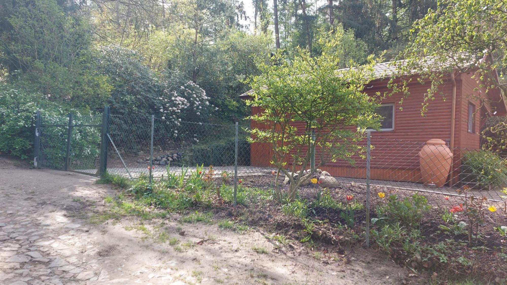 Ferienhaus In Geesthacht-Tesperhude Direkt Am Waldrand ภายนอก รูปภาพ