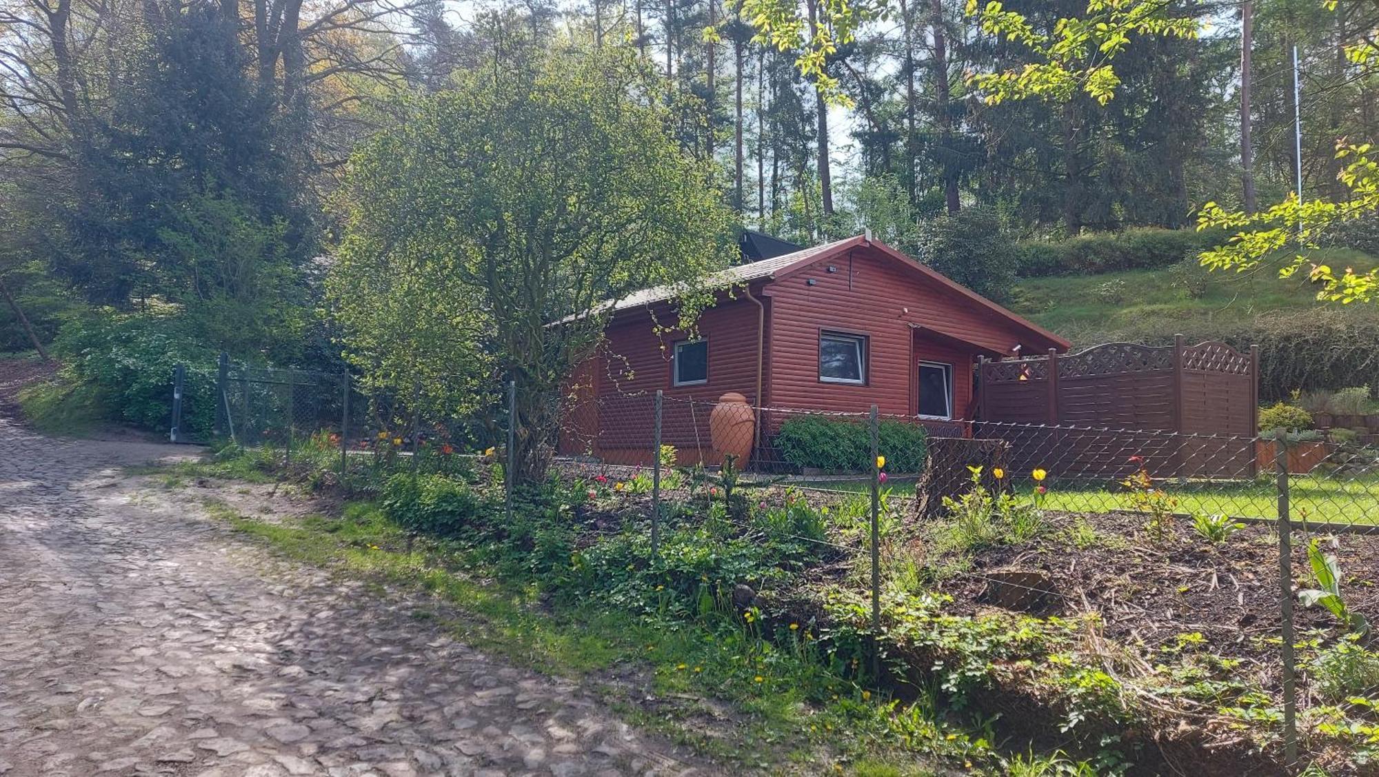 Ferienhaus In Geesthacht-Tesperhude Direkt Am Waldrand ภายนอก รูปภาพ